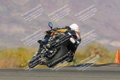 media/Feb-04-2023-SoCal Trackdays (Sat) [[8a776bf2c3]]/Turn 9 Backside (145pm)/